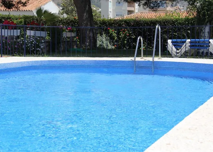 California ネルハ