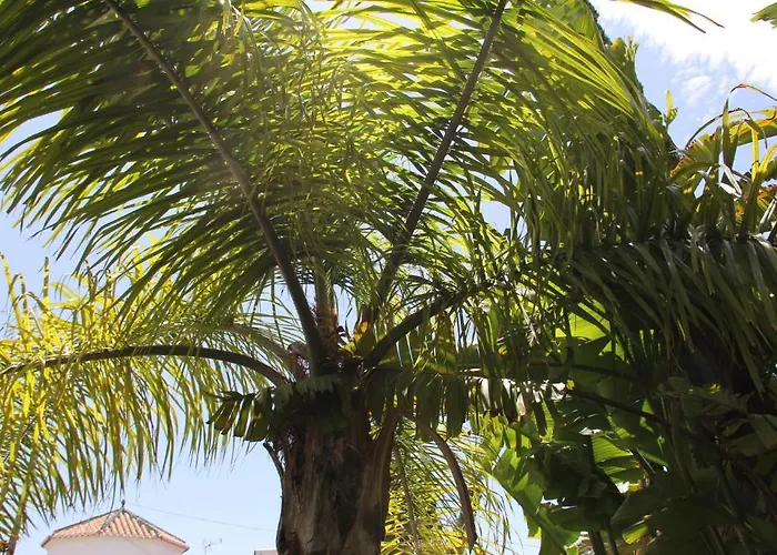 Отель California *