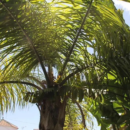 فندق California *